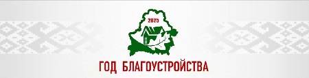 Год благоустройства