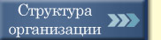 Структура организации